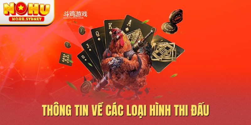 Thông tin về các loại hình thi đấu
