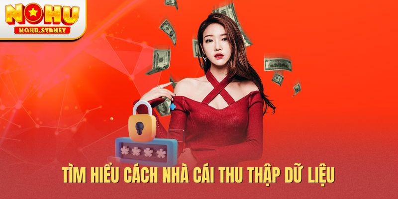 Tìm hiểu cách nhà cái thu thập dữ liệu 